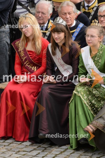 Trgatev Stare trte 2015