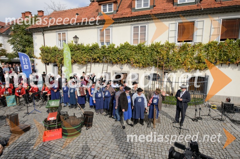 Trgatev Stare trte 2015