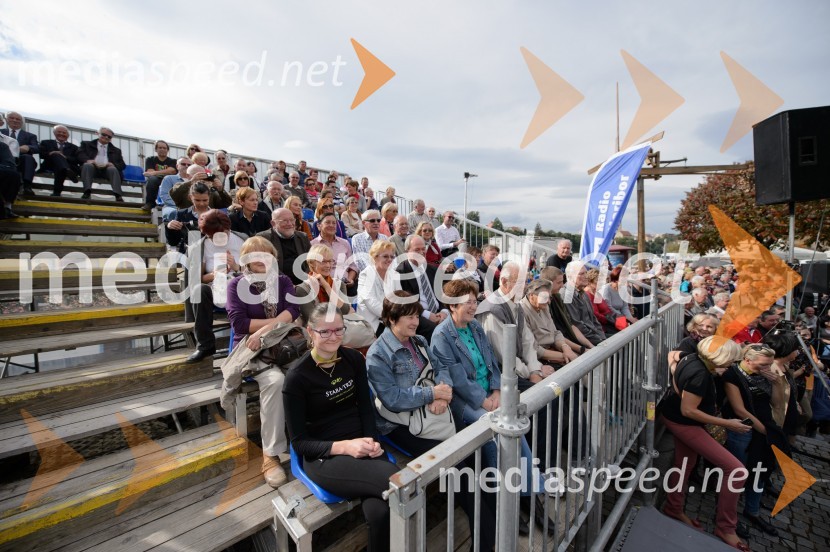 Trgatev Stare trte 2015