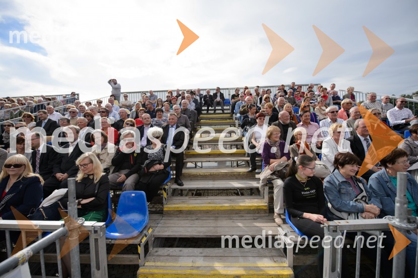 Trgatev Stare trte 2015