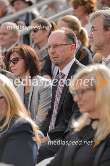 Trgatev Stare trte 2015