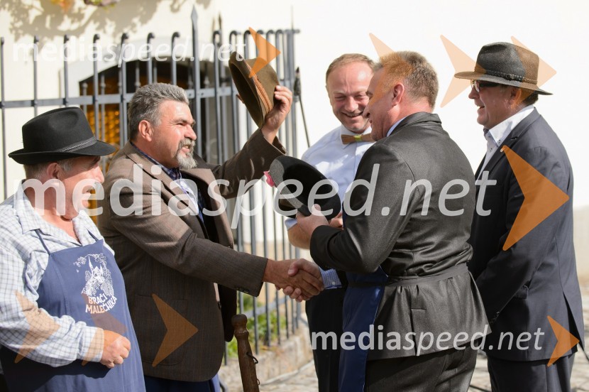 Trgatev Stare trte 2015