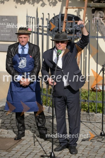 dr. Andrej Fištravec, župan, Mestna občina MariborTrgatev Stare trte 2015