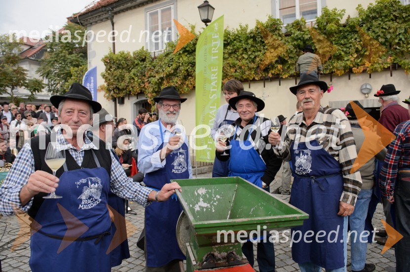 Trgatev Stare trte 2015