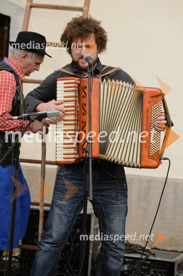 Janez Dovč, glasbenikTrgatev Stare trte 2015