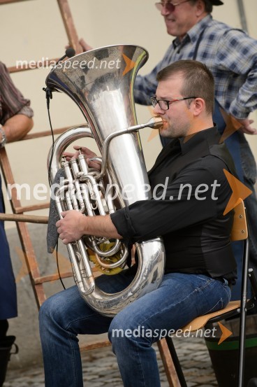 Trgatev Stare trte 2015