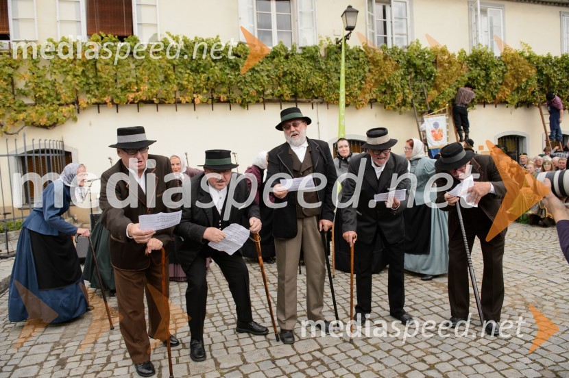 Trgatev Stare trte 2015