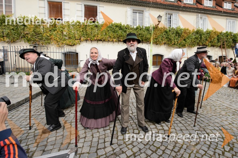 Trgatev Stare trte 2015