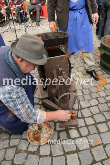 Trgatev Stare trte 2015