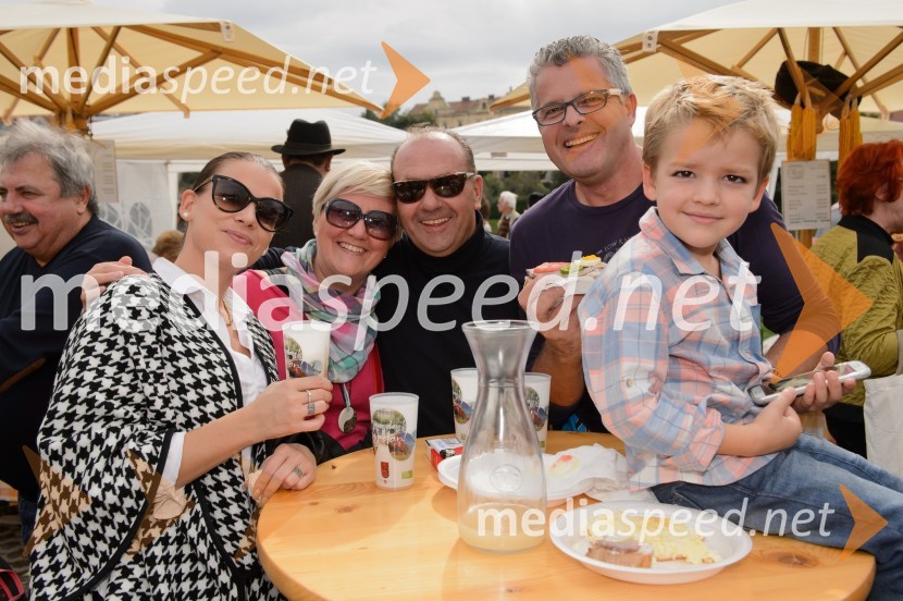 Trgatev Stare trte 2015