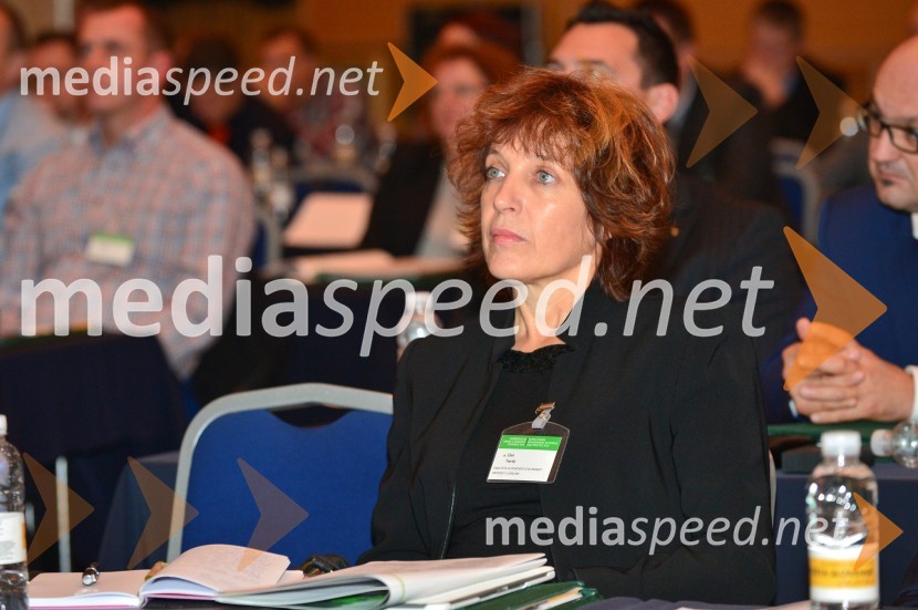 prof. dr. Elen Twrdy, Fakulteta za pomorstvo in promet, Univerza v LjubljaniOskrbovalne verige v znanosti in praksi 2015, logistični kongres, 1. dan