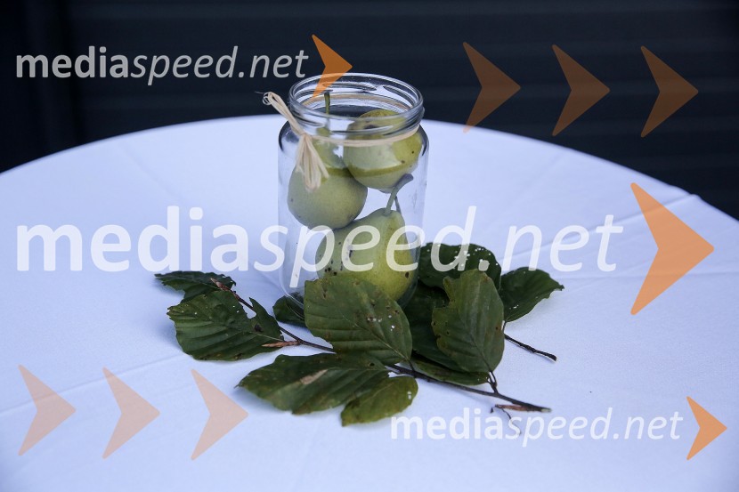 Odprtje novih poslovnih prostorov podjetja Želva d.o.o.