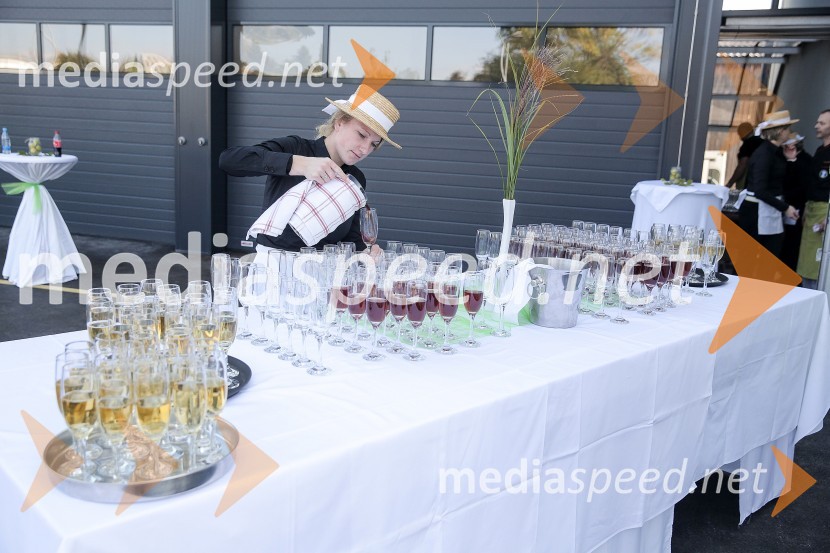 Odprtje novih poslovnih prostorov podjetja Želva d.o.o.