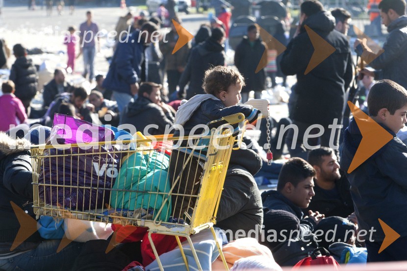 Ponovno prihod večjih skupin beguncev na  mejnem prehodu Šentilj