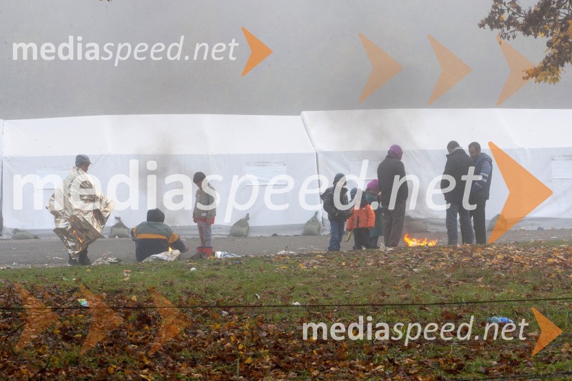 Ponovno prihod večjih skupin beguncev na  mejnem prehodu Šentilj