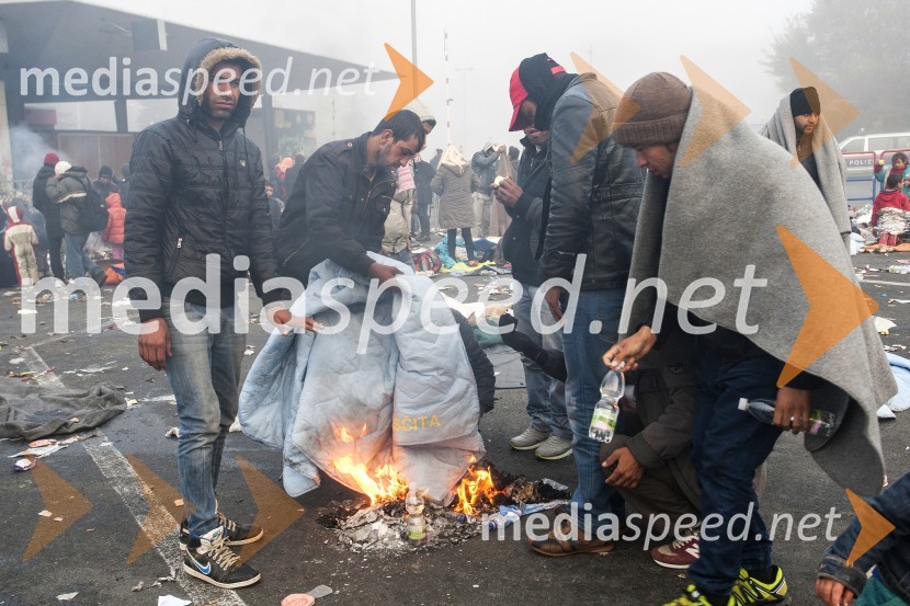 Ponovno prihod večjih skupin beguncev na  mejnem prehodu Šentilj