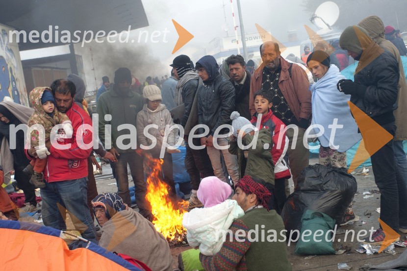 Ponovno prihod večjih skupin beguncev na  mejnem prehodu Šentilj