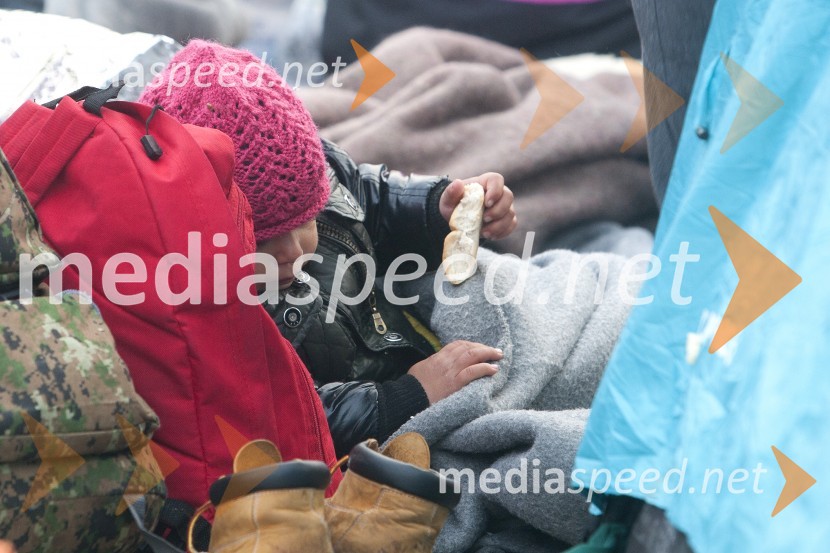 Ponovno prihod večjih skupin beguncev na  mejnem prehodu Šentilj