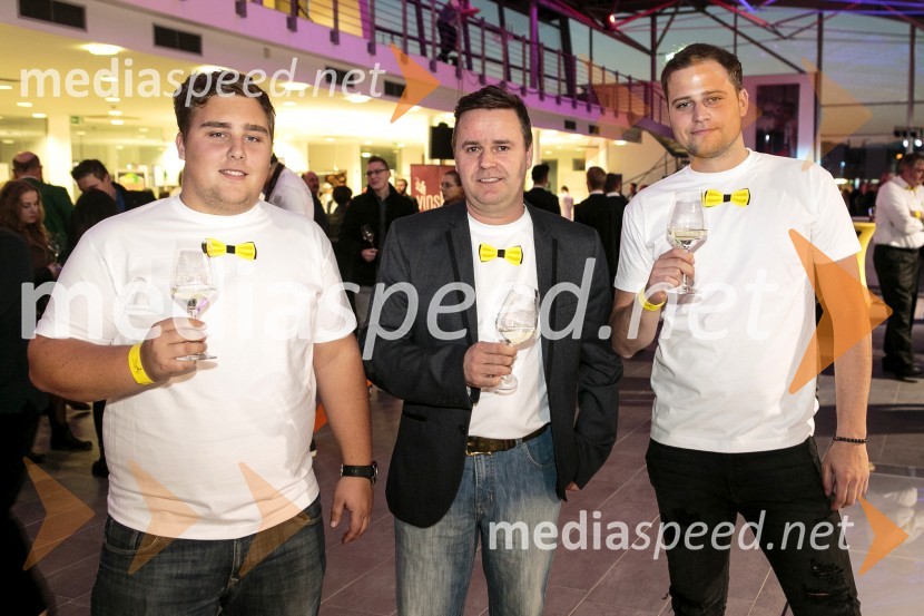  Žan  Krajnc, Vinske brbončice;  Peter Rataj, Vinske Brbončice;  Matevž  Pepelnik1. Salon štajerskih mladih vin, PUBEC 2015