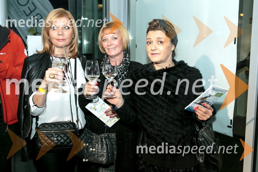 1. Salon štajerskih mladih vin, PUBEC 2015