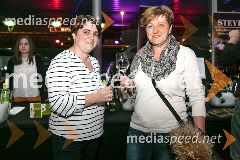 1. Salon štajerskih mladih vin, PUBEC 2015