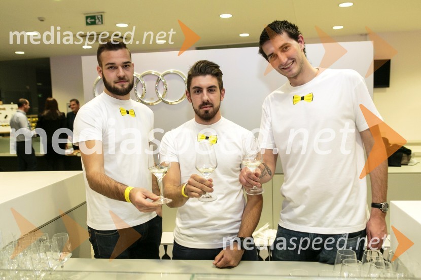  Davor  Vohar;  Jan  Žnider;  Tilen  Miklavčič1. Salon štajerskih mladih vin, PUBEC 2015