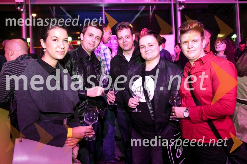  Rebeka Pinosa, novinarka, Radio Maribor;  Robert Levstek,  odgovorni urednik Radia Maribor, moderator prireditev;  ... ;  Martina Ipša, stand up komičarka;  Janja Zdolšek, direktorica Zavoda za kulturo Maribor - standupsi.com1. Salon štajerskih mladih vin, PUBEC 2015