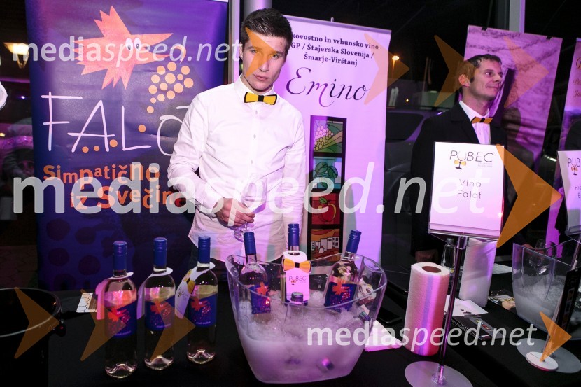 1. Salon štajerskih mladih vin, PUBEC 2015