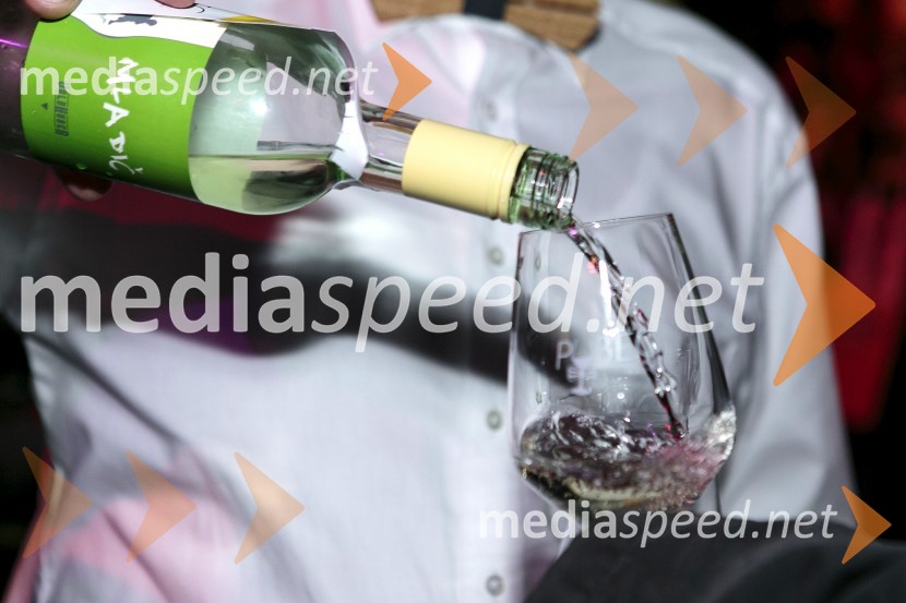 1. Salon štajerskih mladih vin 20151. Salon štajerskih mladih vin, PUBEC 2015