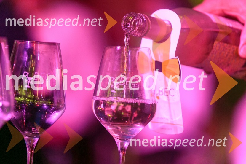 1. Salon štajerskih mladih vin 20151. Salon štajerskih mladih vin, PUBEC 2015