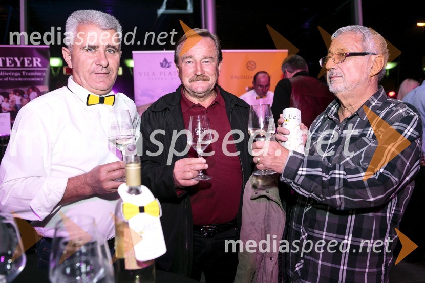  Vinko  Kropec, Vila Platana;  ... ;  ... 1. Salon štajerskih mladih vin, PUBEC 2015