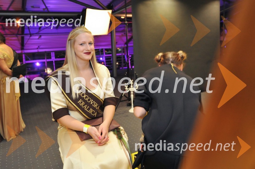 1. Salon štajerskih mladih vin, PUBEC 2015