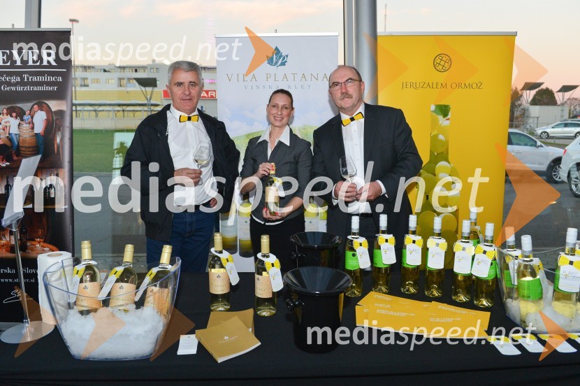  Vinko  Kropec, Vila Platana;  Petra Grubelnik, Vila Platana;  Marko  Zabavnik,  P+F Jeruzalem d.o.o.1. Salon štajerskih mladih vin, PUBEC 2015