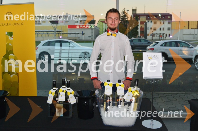  Matic  Žerjav, Matic Wines   1. Salon štajerskih mladih vin, PUBEC 2015