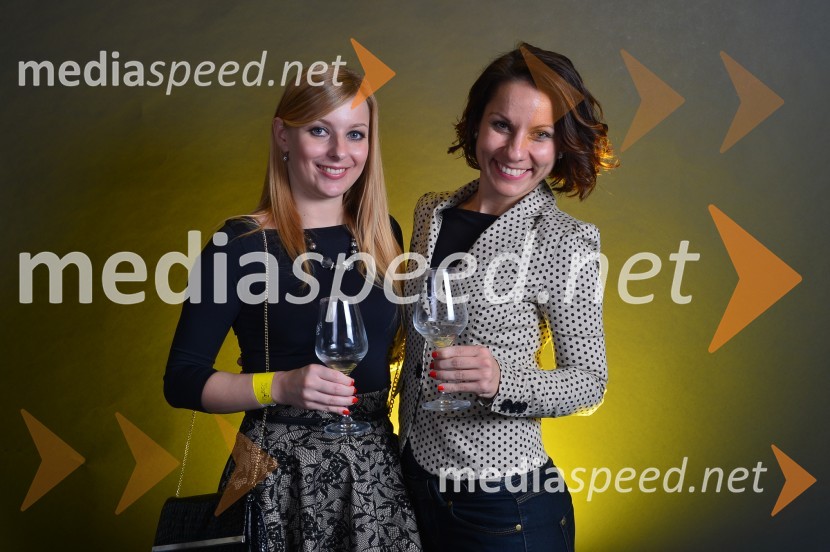 1. Salon štajerskih mladih vin, PUBEC 2015