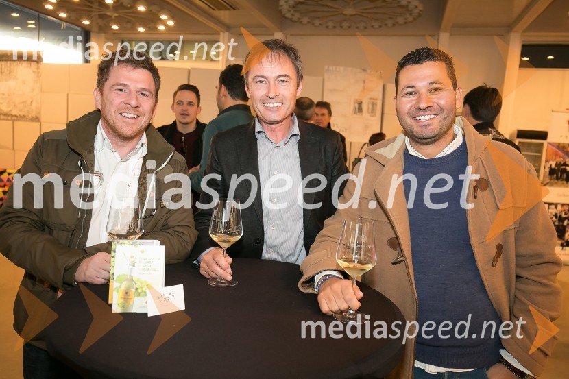 Martinovanje z vinsko kletjo P&F Jeruzalem