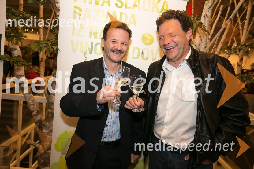 Martinovanje z vinsko kletjo P&F Jeruzalem