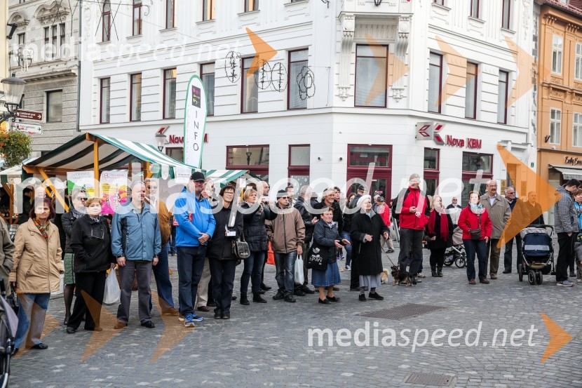 Martinovanje v Ljubljani 2015Martinovanje v Ljubljani 2015