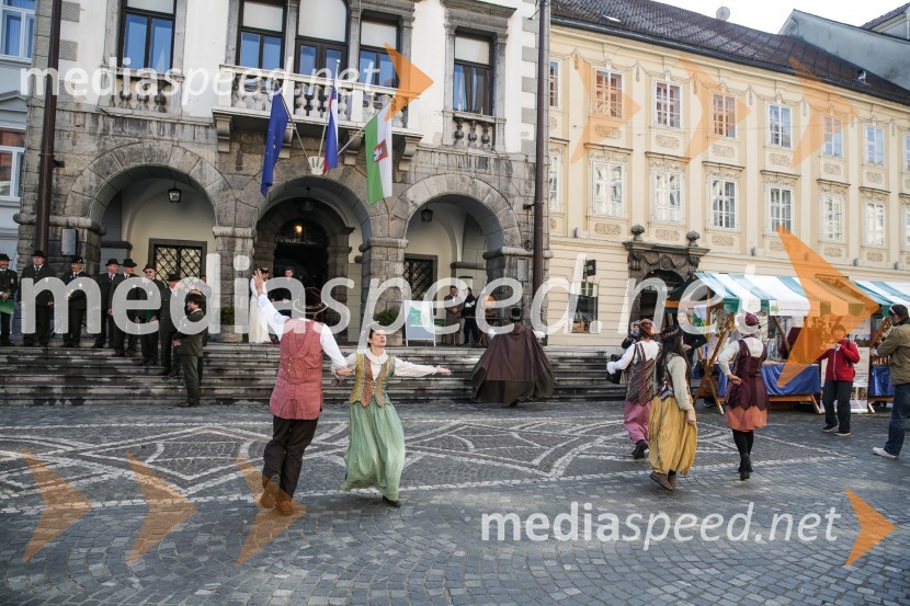 Martinovanje v Ljubljani 2015Martinovanje v Ljubljani 2015