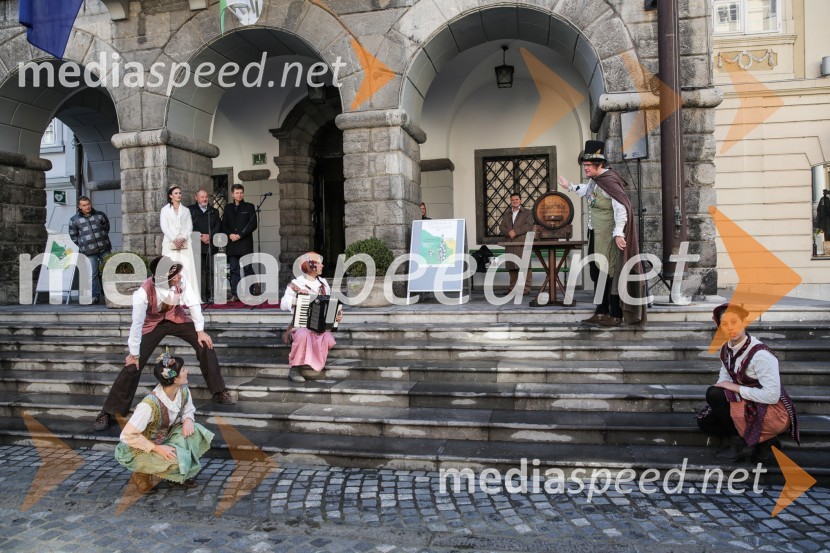 Martinovanje v Ljubljani 2015Martinovanje v Ljubljani 2015