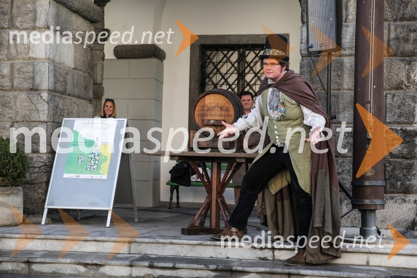 Martinovanje v Ljubljani 2015Martinovanje v Ljubljani 2015