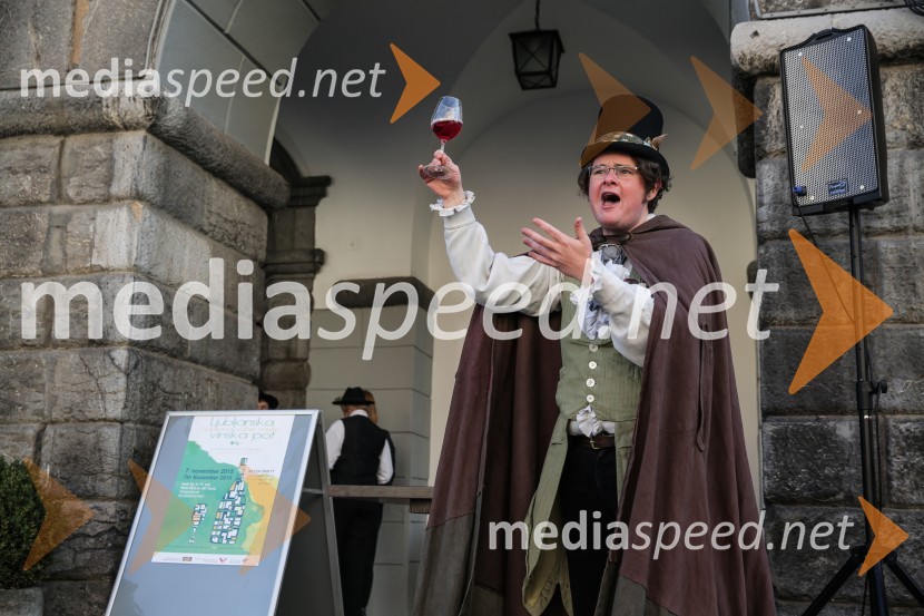 Martinovanje v Ljubljani 2015Martinovanje v Ljubljani 2015