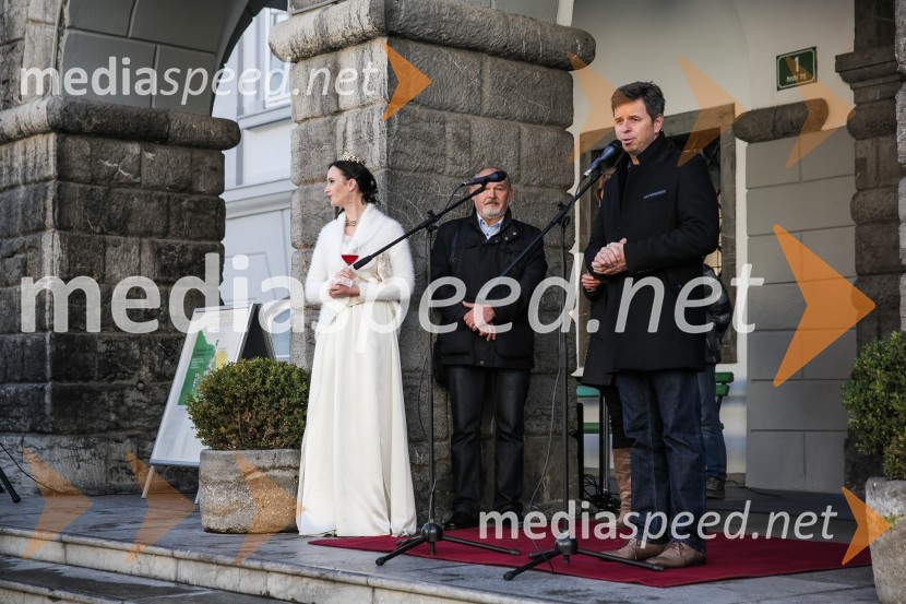  Sandra Vučko, Vinska kraljica Slovenije 2015;  Rado Stojanovič, organizator Salona penečih vin, Slovenskega festivala vin, Martinovanja v Ljubljani, Ljubljanske vinske poti;  Dejan Crnek, podžupan, Mestna občina Ljubljana, Lista Zorana Jankovića, predsednik športnega društva Narodni domMartinovanje v Ljubljani 2015