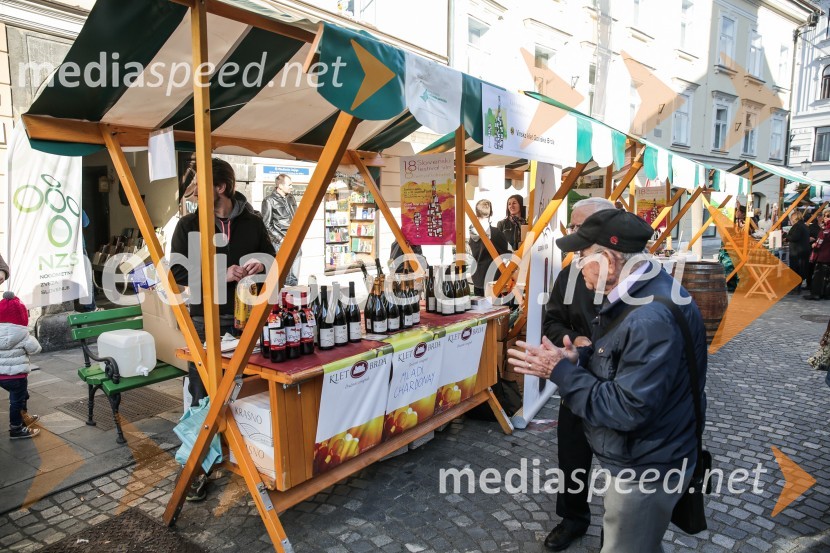 Martinovanje v Ljubljani 2015