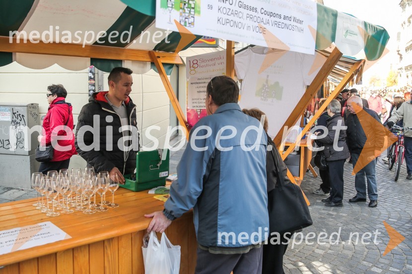 Martinovanje v Ljubljani 2015