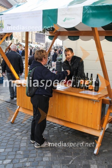 Martinovanje v Ljubljani 2015