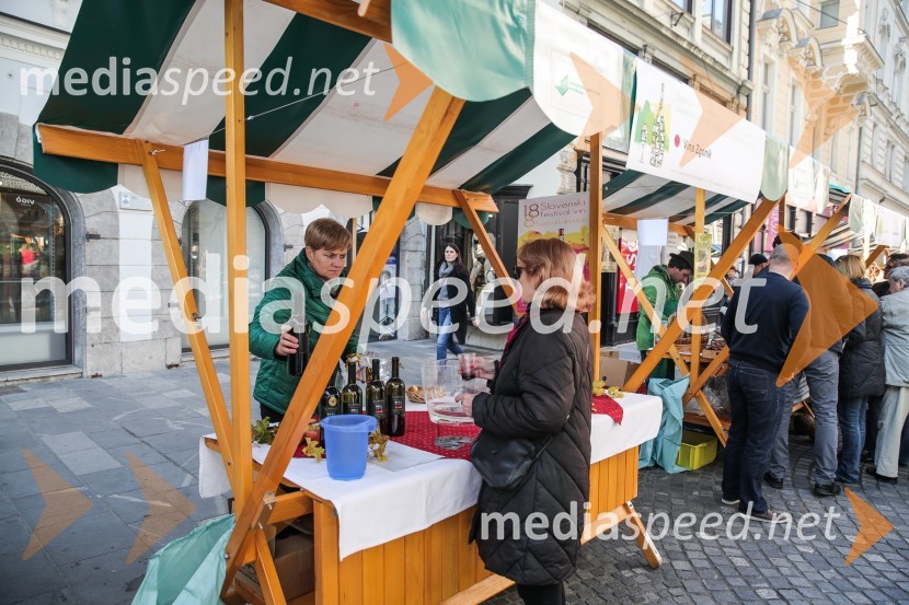 Martinovanje v Ljubljani 2015Martinovanje v Ljubljani 2015
