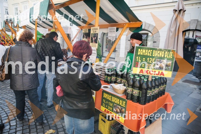 Martinovanje v Ljubljani 2015Martinovanje v Ljubljani 2015