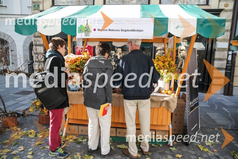 Martinovanje v Ljubljani 2015Martinovanje v Ljubljani 2015