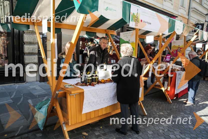 Martinovanje v Ljubljani 2015Martinovanje v Ljubljani 2015